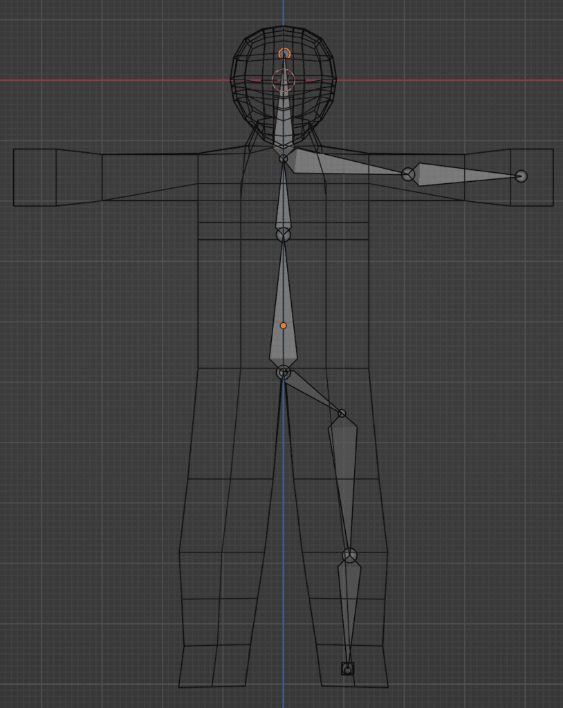 Shows all left bones after extrusion
